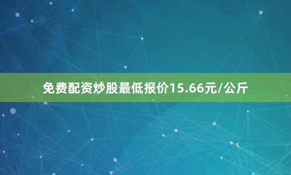 免费配资炒股最低报价15.66元/公斤