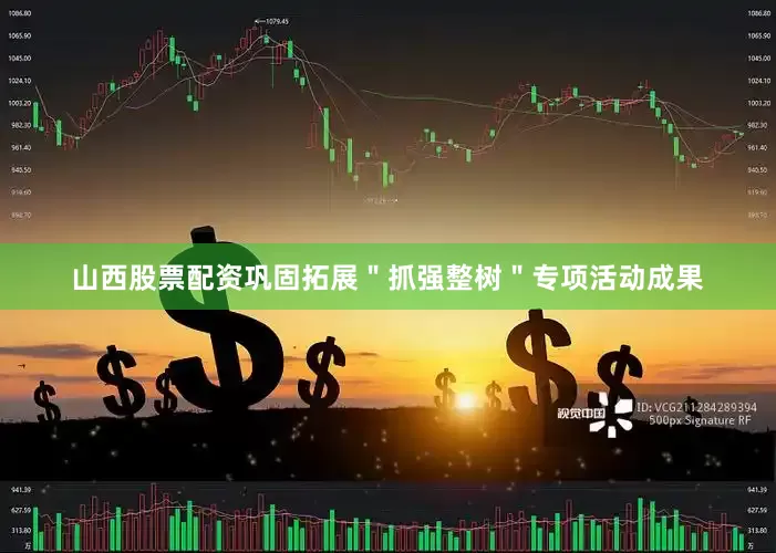 山西股票配资巩固拓展＂抓强整树＂专项活动成果