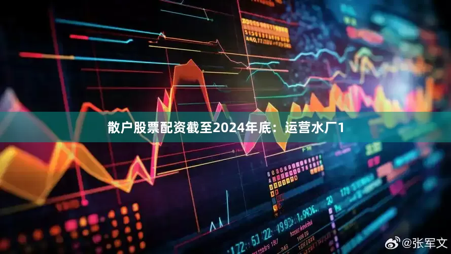 散户股票配资截至2024年底：运营水厂1