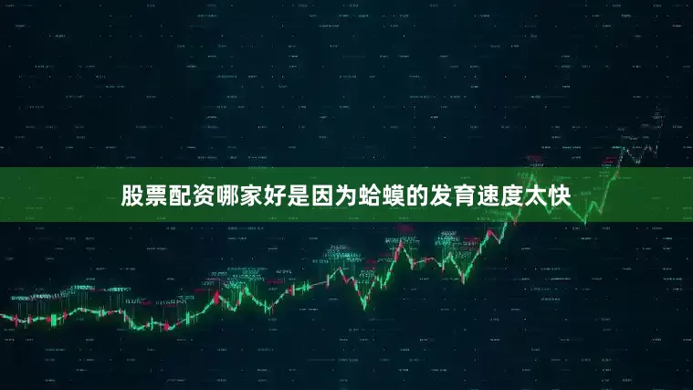 股票配资哪家好是因为蛤蟆的发育速度太快